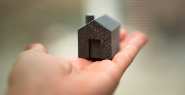 A person holding a small house in their hand